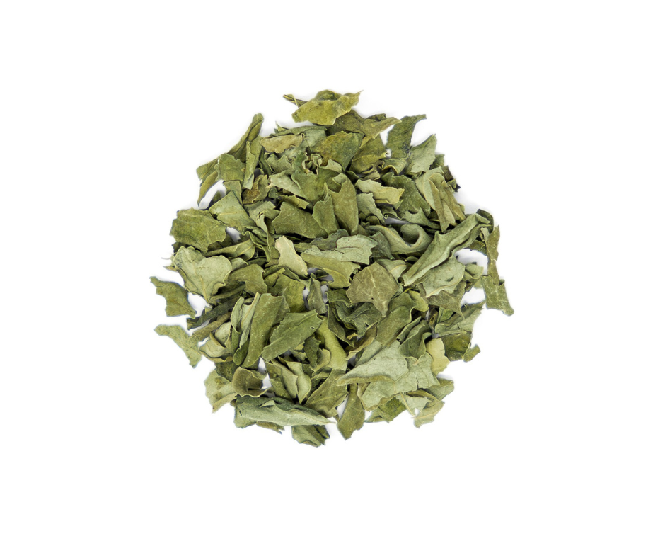 Pure Moringa